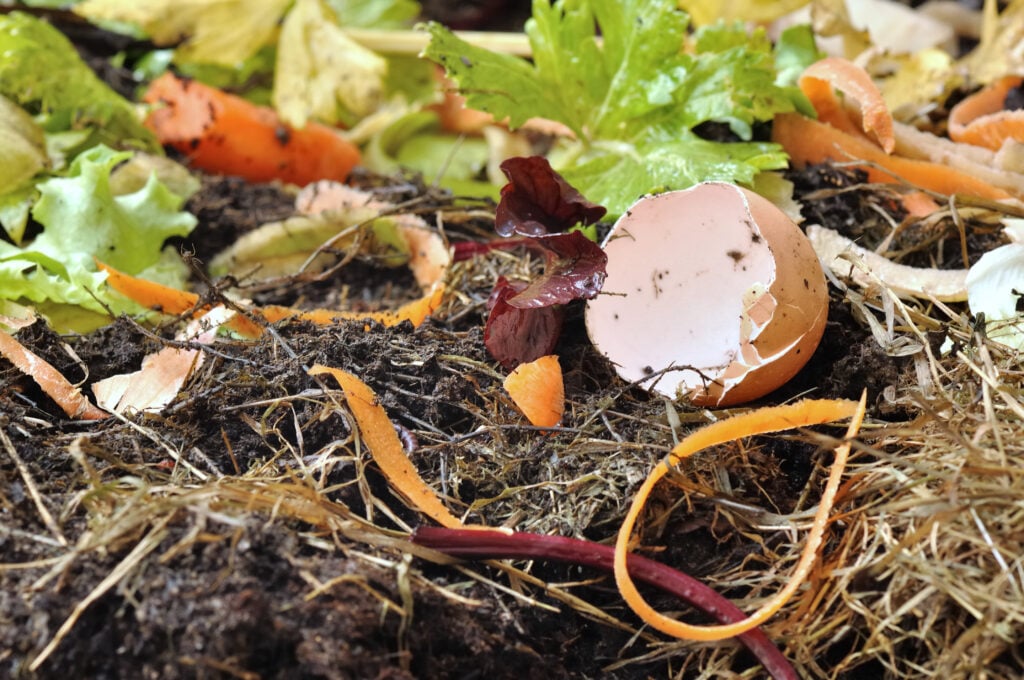 how to compost for backyard farmers