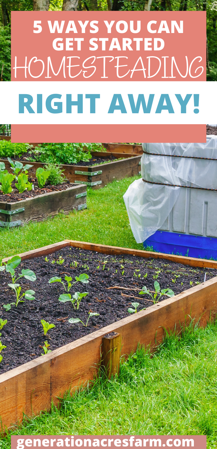 How To Start Homesteading Now - Generation Acres Farm
