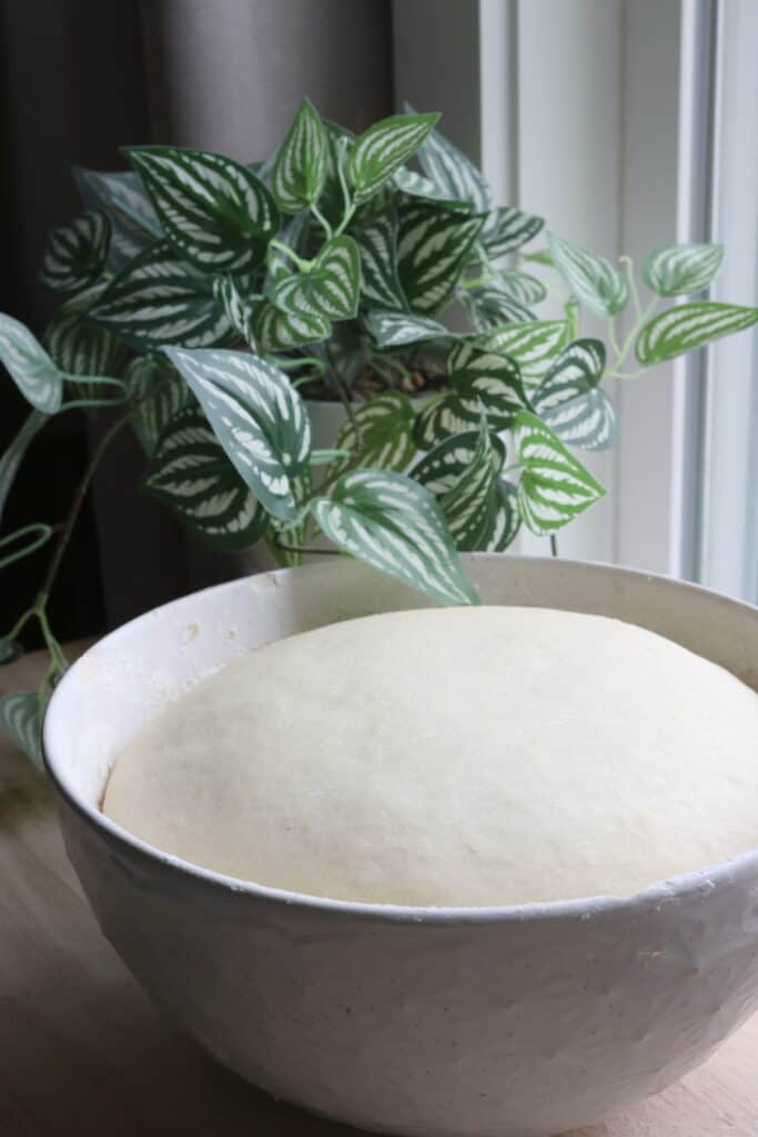 bowl of fluffy sandwich bread dough