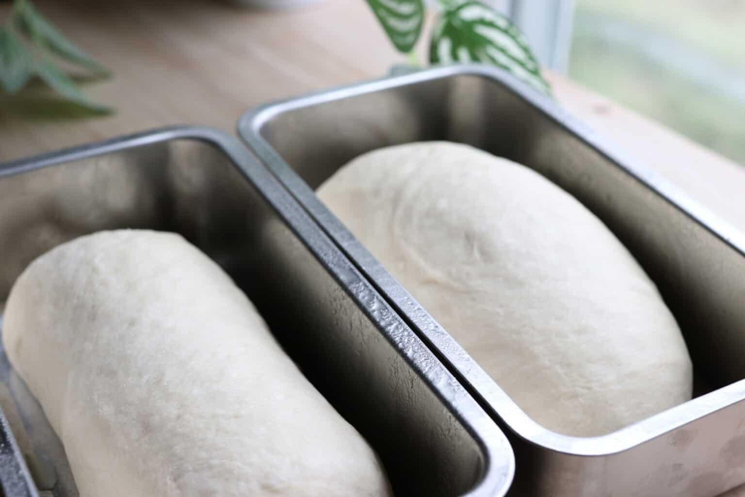 Soft and Fluffy Sandwich Bread Recipe: Your Guide to Perfect Homemade ...