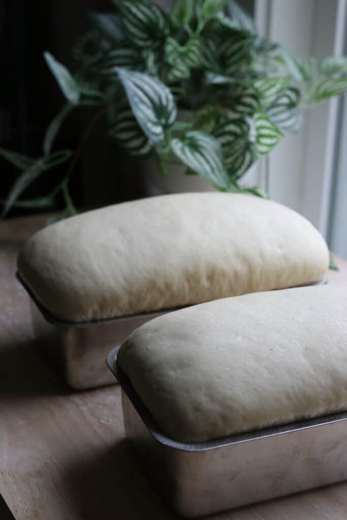 soft and fluffy homemade sandwich bread