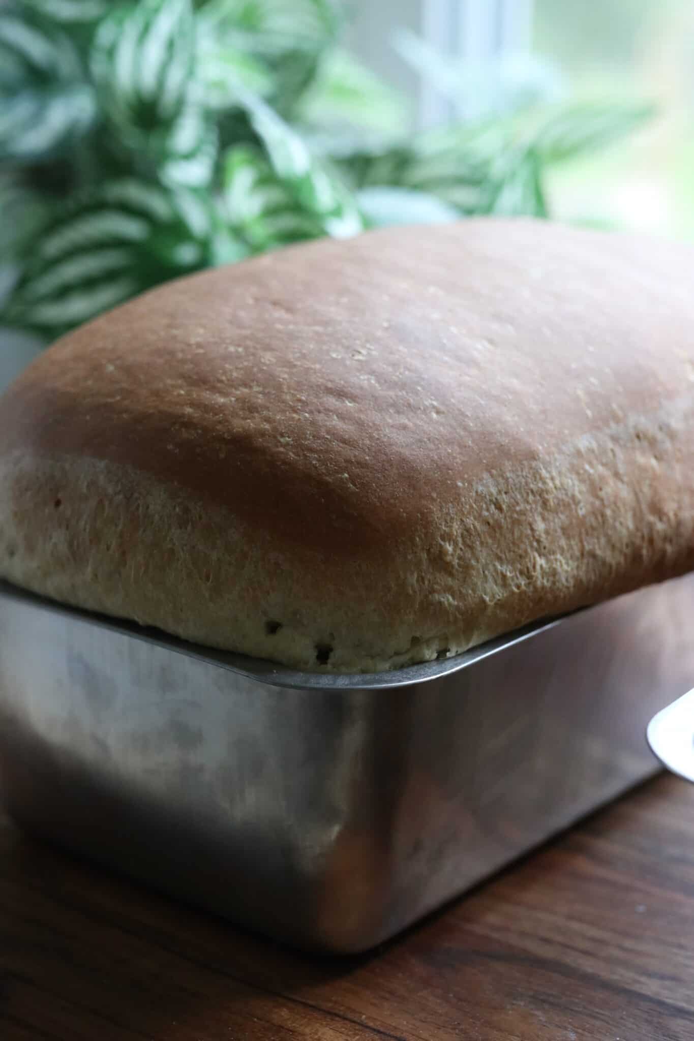 Soft and Fluffy Sandwich Bread Recipe: Your Guide to Perfect Homemade ...