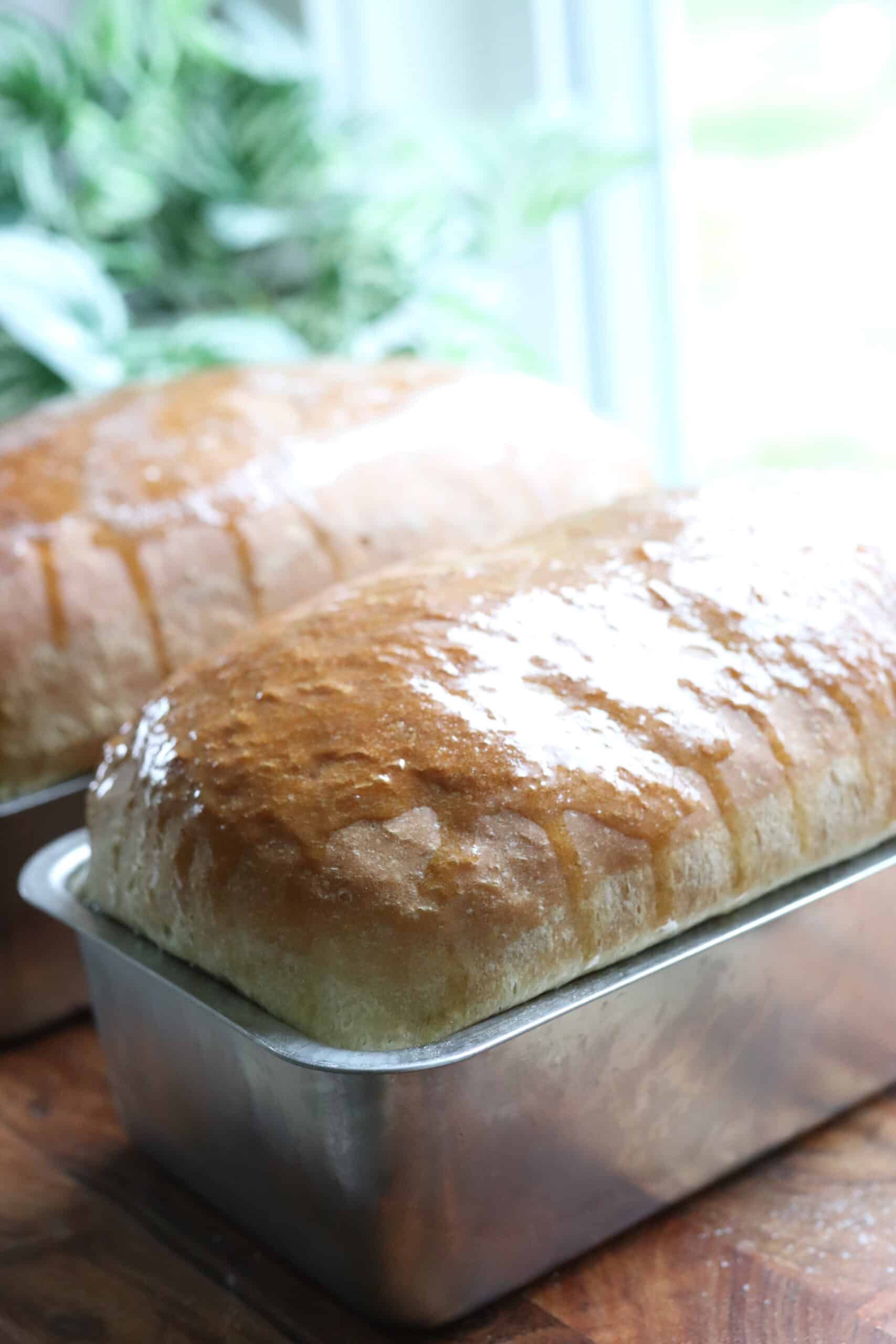 Soft and Fluffy Sandwich Bread Recipe: Your Guide to Perfect Homemade ...