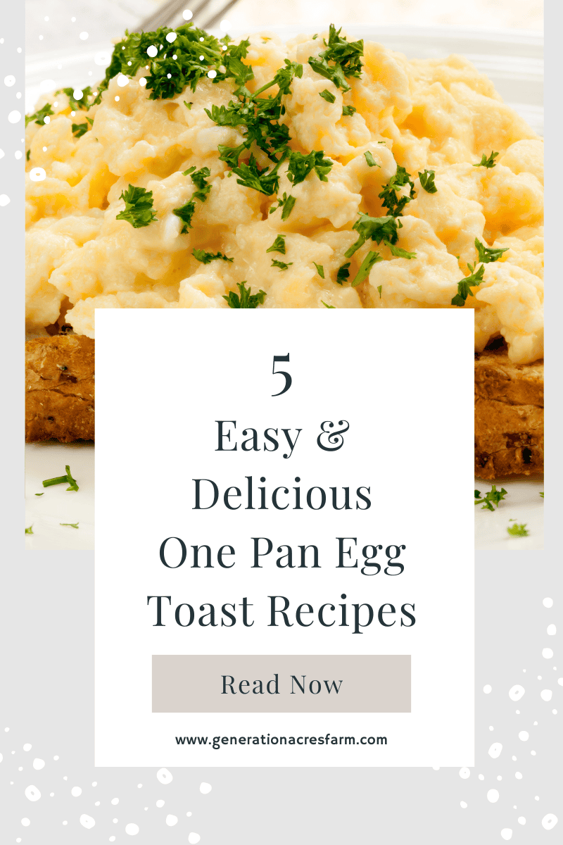 5 Easy And Delicious One Pan Egg Toast Recipe Generation Acres Farm One Pan Egg Toast Recipes