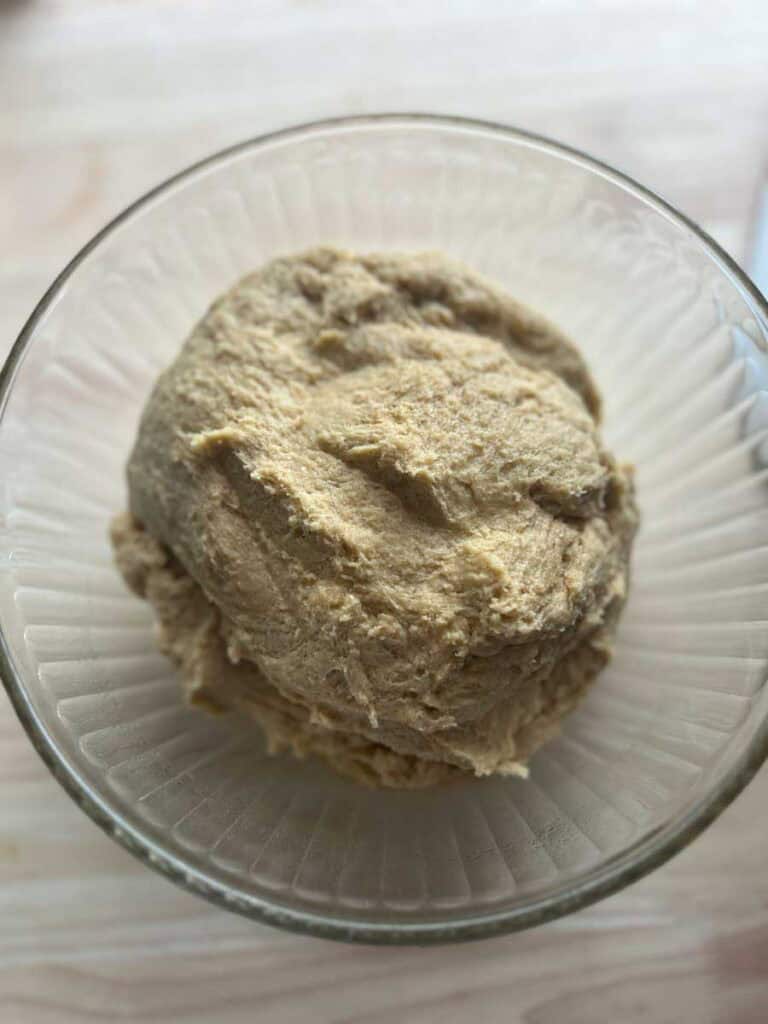 shaggy brioche dough waiting to rise