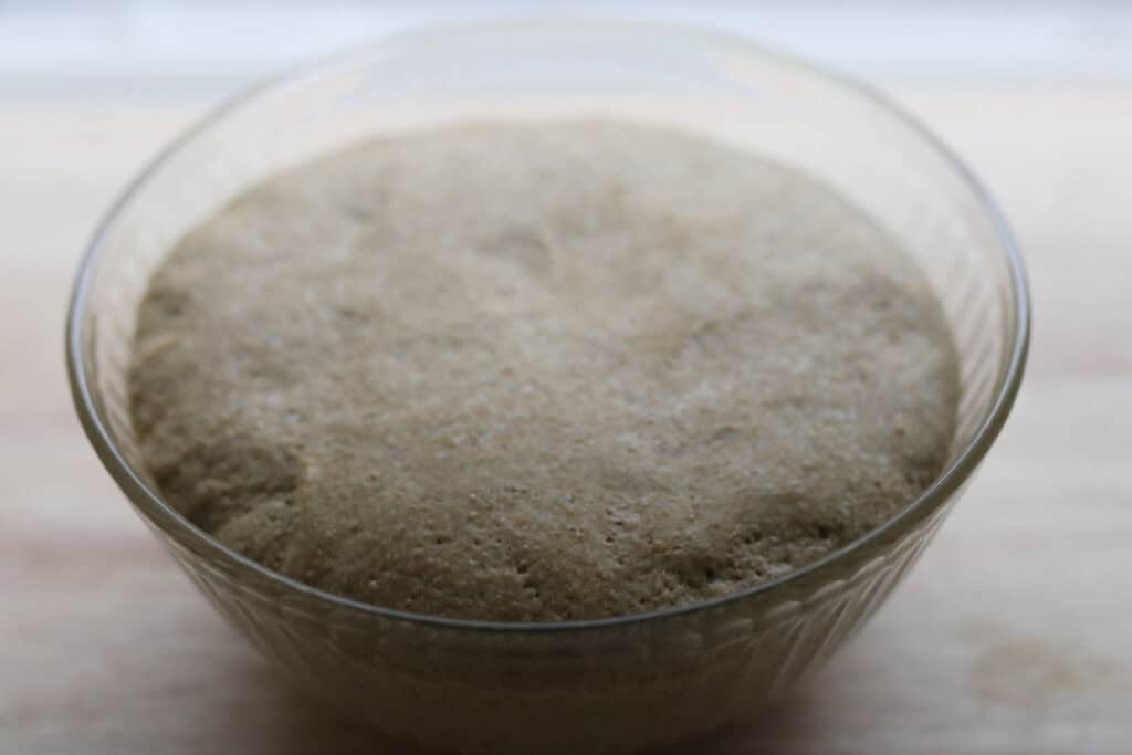 pretzel bun dough that has risen