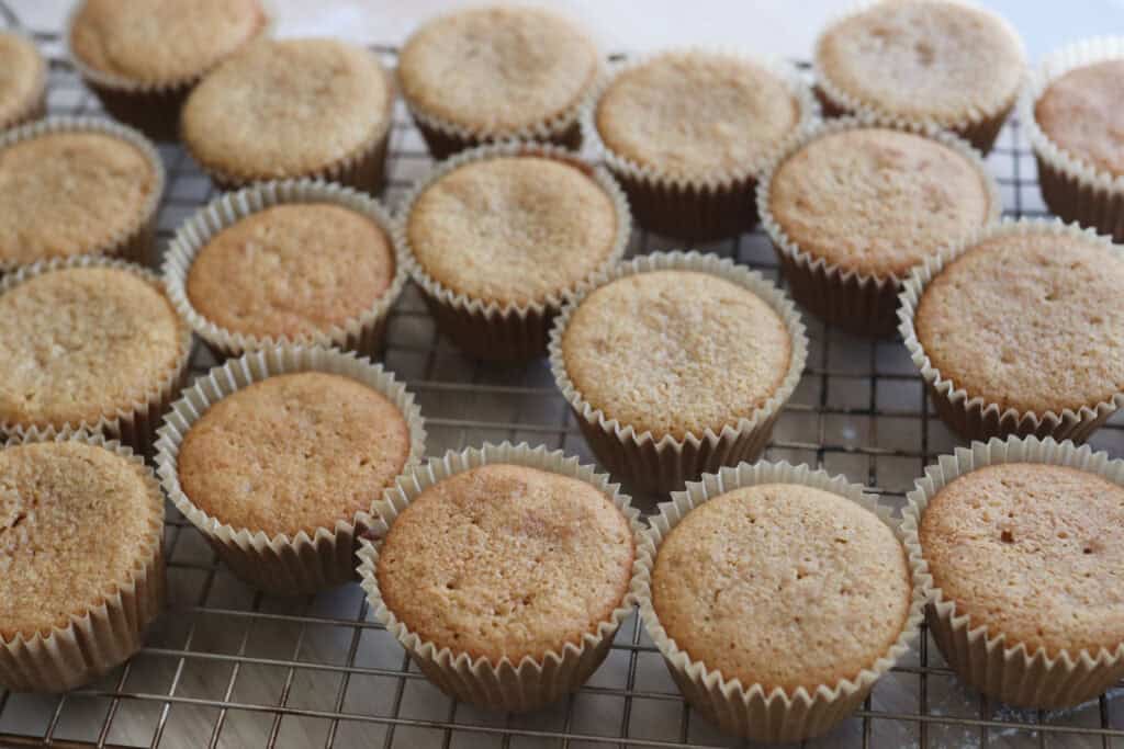 vanilla cupcakes without icing