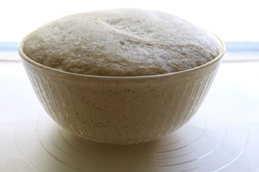 fluffy brioche burger buns with fresh milled flour that has doubled in size