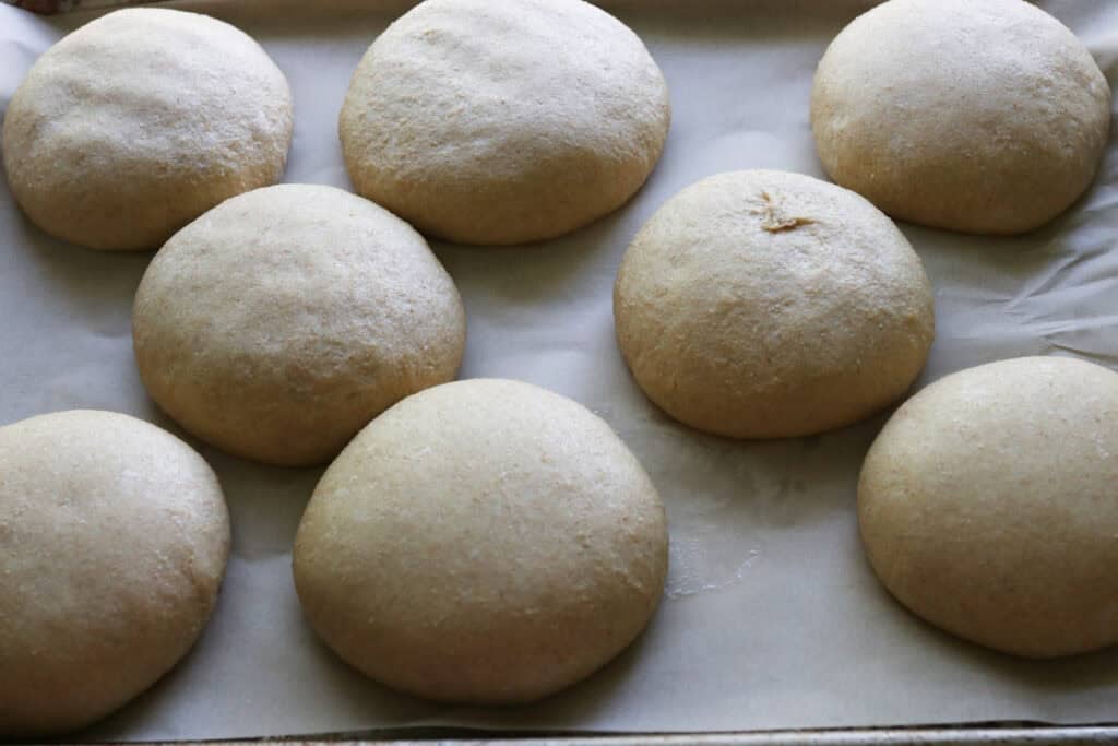 freshly milled fluffy brioche burger buns that have risen on a baking sheet with parchment paper