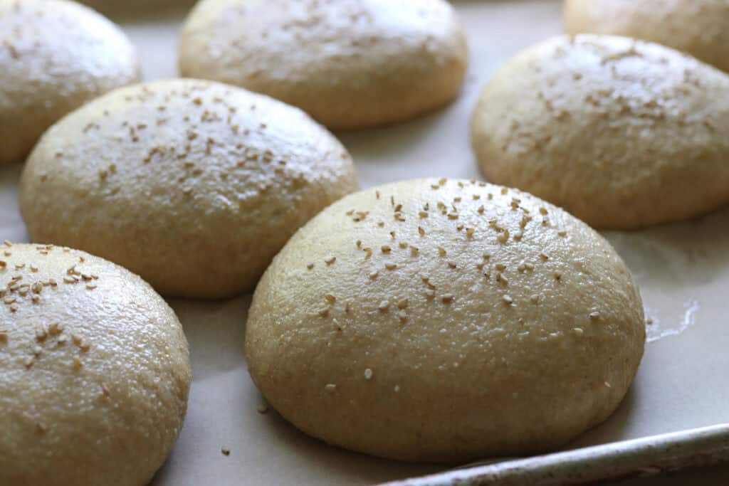 brushing freshly milled brioche burger buns that have risen with egg wash and sesame seeds on top