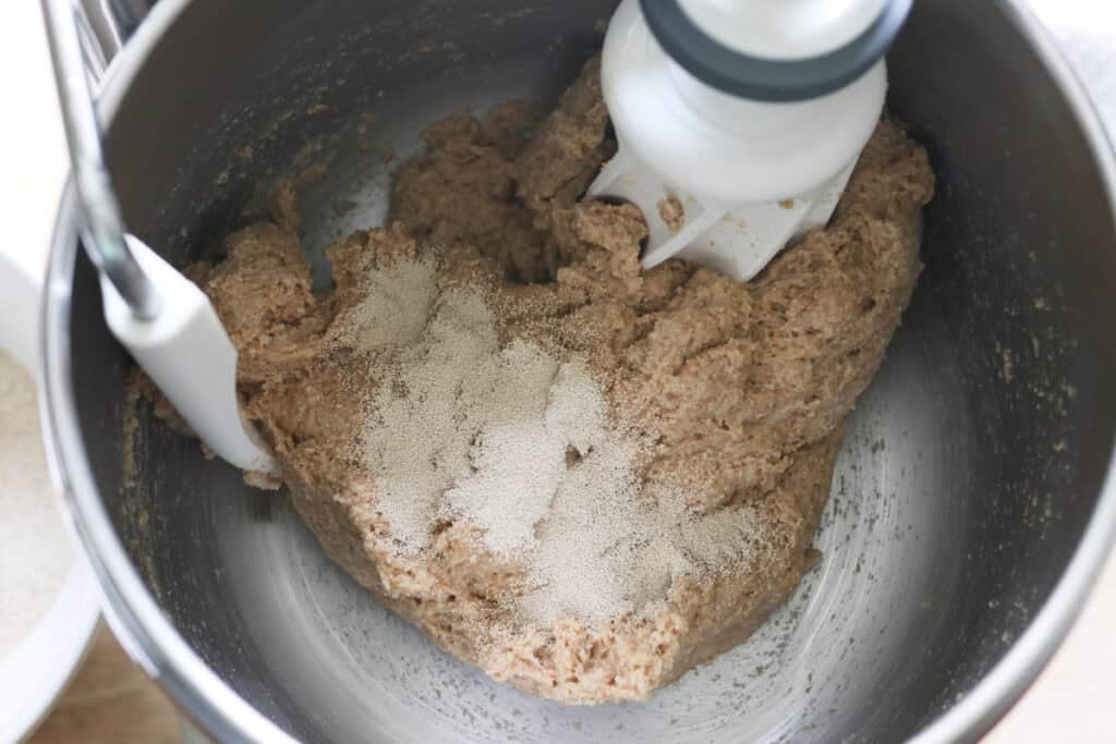 adding yeast to the dough to make the most delicious fresh milled cinnamon swirl bread