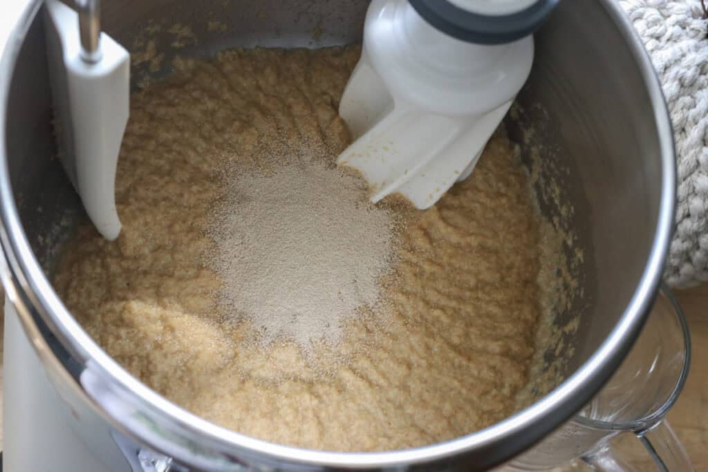 yeast in the dough to make  freshly milled apple cinnamon rolls