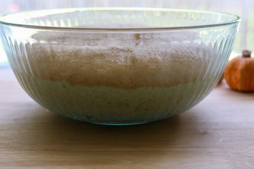  freshly milled apple cinnamon roll dough that has doubled in size