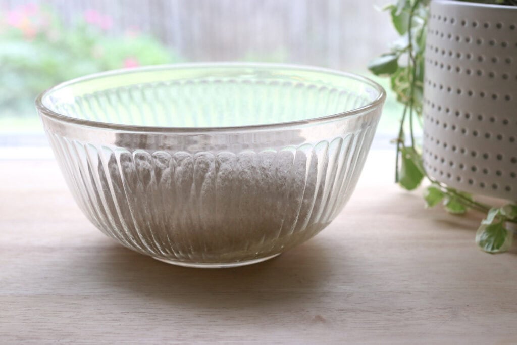 dough in a clear bowl that is rising for Super Soft Freshly Milled Sourdough Sandwich Bread
