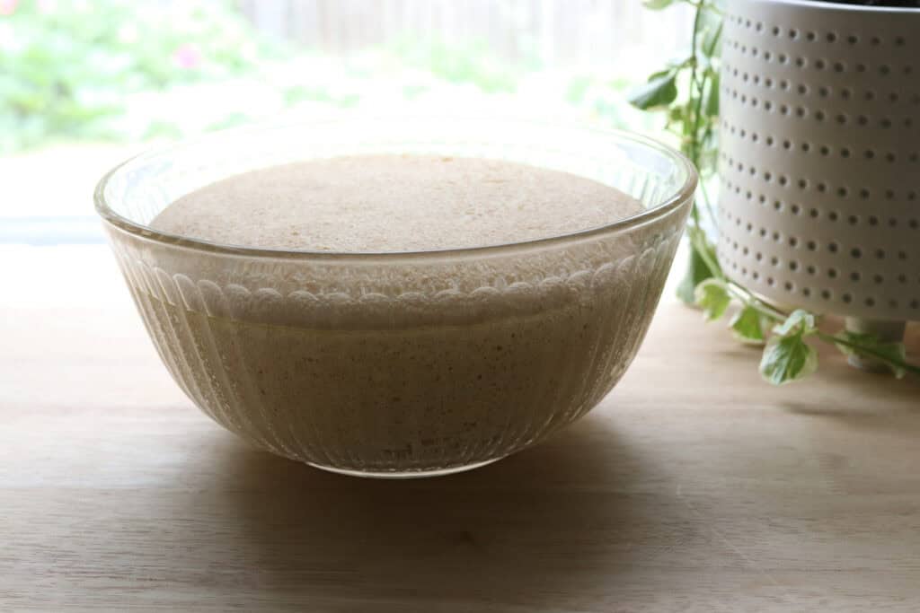 freshly milled sourdough in a bowl that has doubled in size