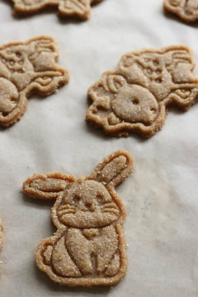 a fresh milled homemade animal cracker on a piece of parchment paper