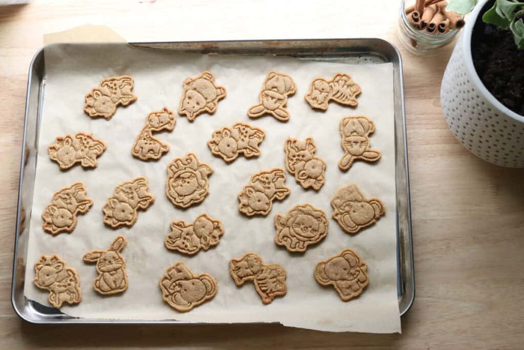 Homemade Animal Crackers with Fresh Milled Flour on a baking sheet with parchment paper