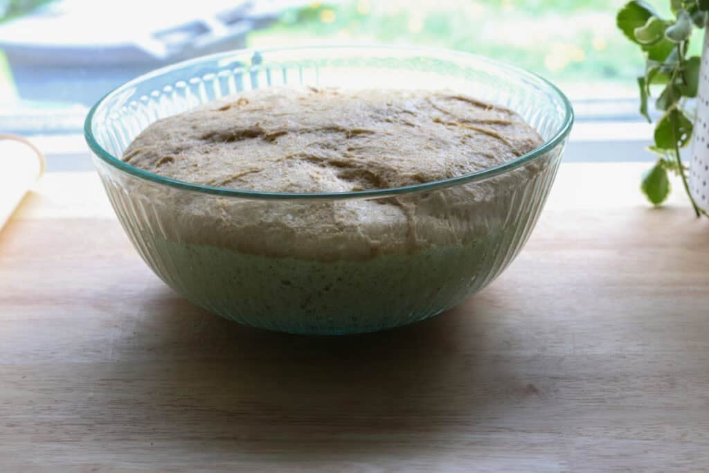 fresh milled dough in a bowl that has doubled in size to make fresh milled turkey dinner rolls