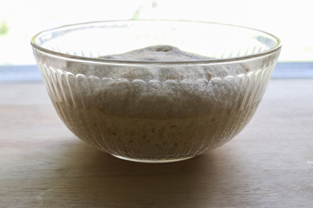 the dough for freshly milled parmesan pesto star bread in a glass bowl that has doubled in size
