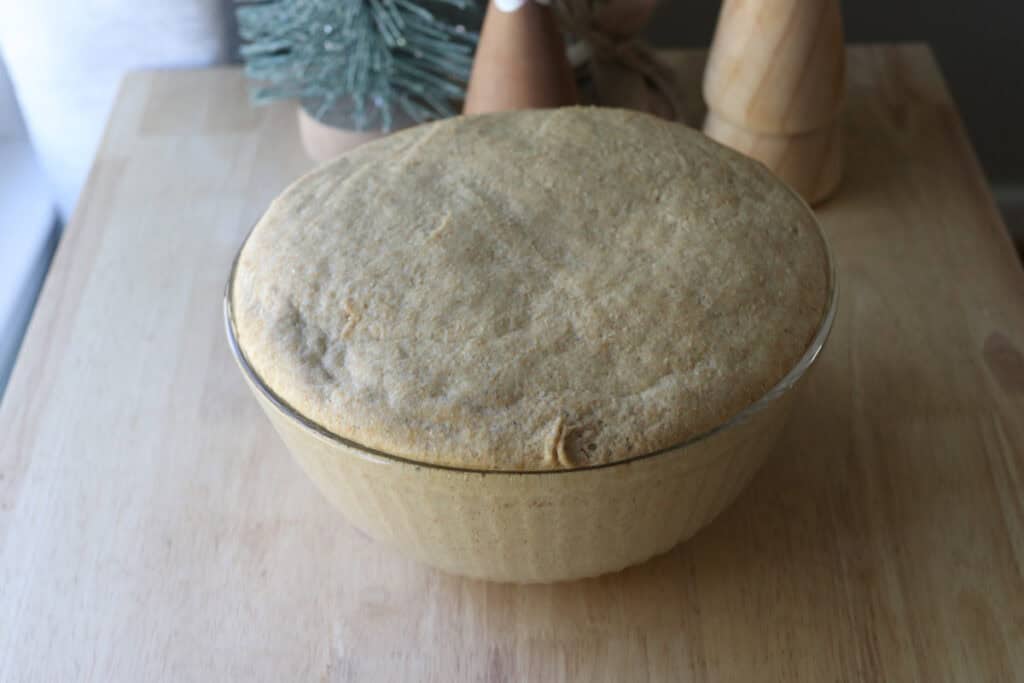 the dough for Easy Garlic Herb Focaccia with Fresh Milled Flour that has risen in a bowl 
