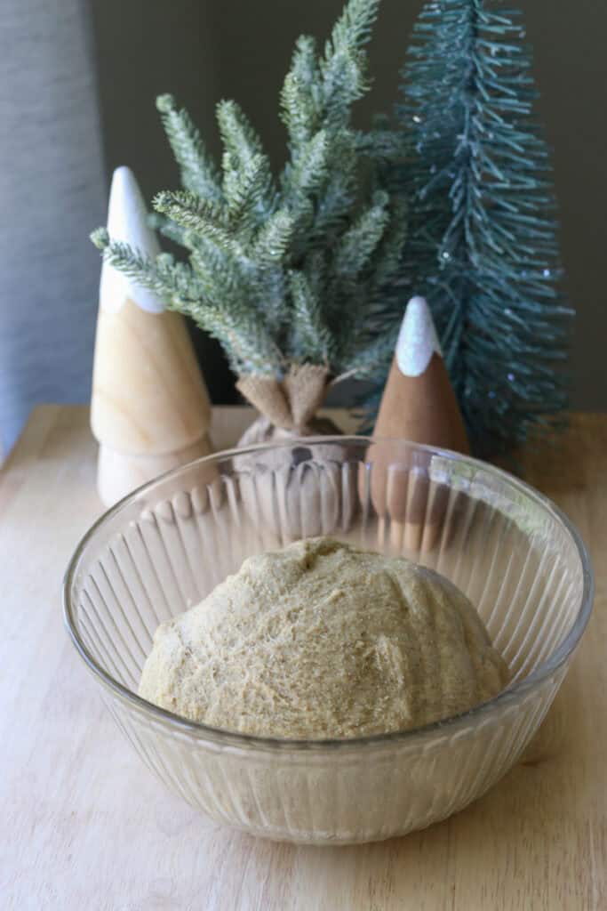 the dough for Fresh Milled Christmas Tree Garlic and Herb Bread rising in a bowl