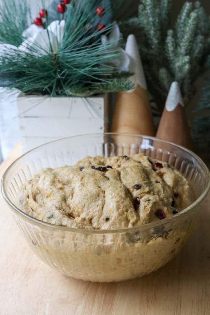 the dough for Homemade Mini Panettones with Fresh Milled Flour in a glass bowl that has risen