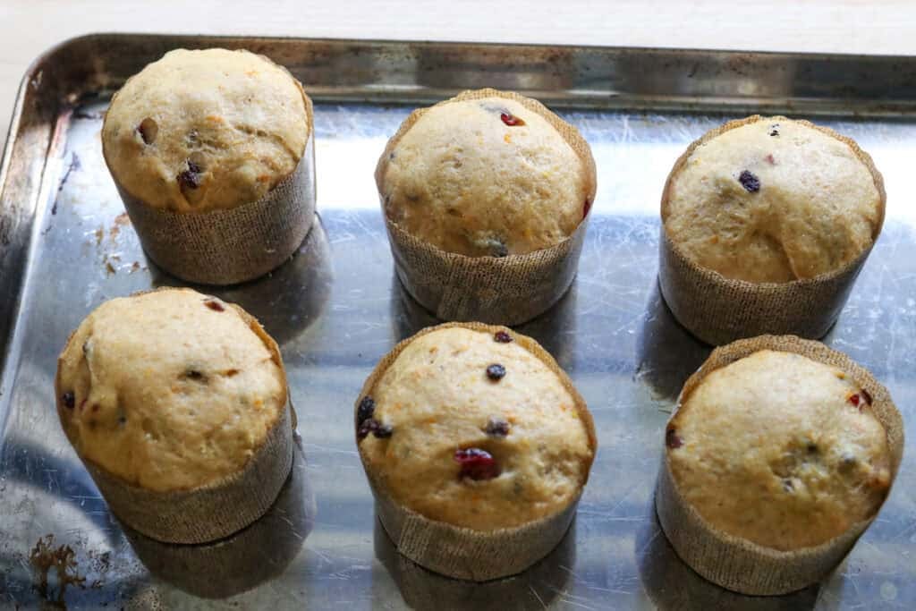 Homemade Mini Panettones with Fresh Milled Flour in wrappers on a baking sheet