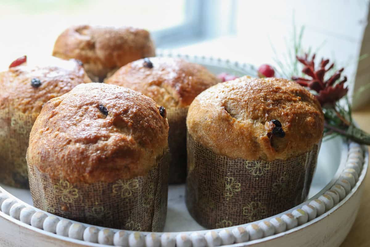 Mini Panatoitte Homemade Mini Panettones with Fresh Milled Flour - Generation Acres Farm