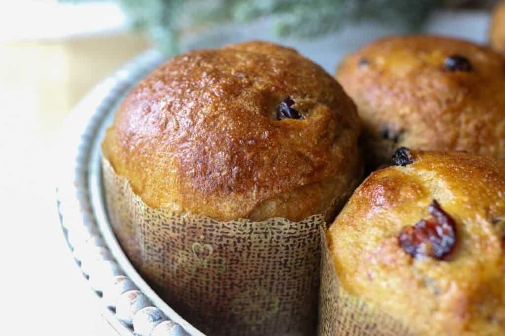 homemade fresh milled mini panettone with egg wash on top and dried fruit