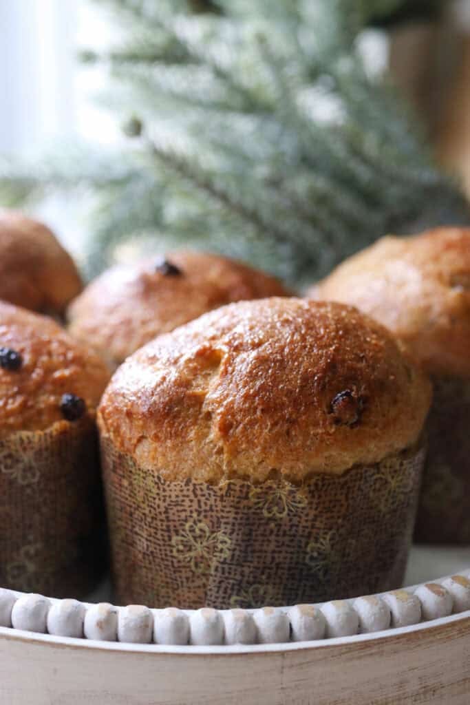 fresh milled mini panettone in a gold wrapper with green branches behind it