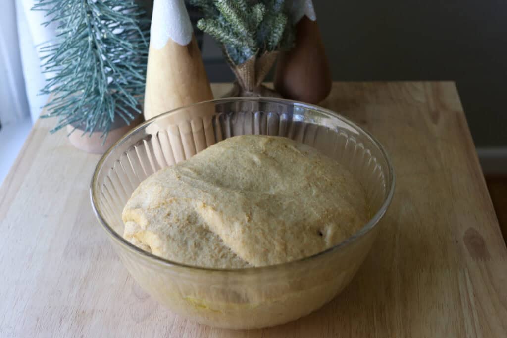 dough that has risen in a glass bowl to make Fresh Milled Cheesy Pull-Apart Christmas Tree Bread