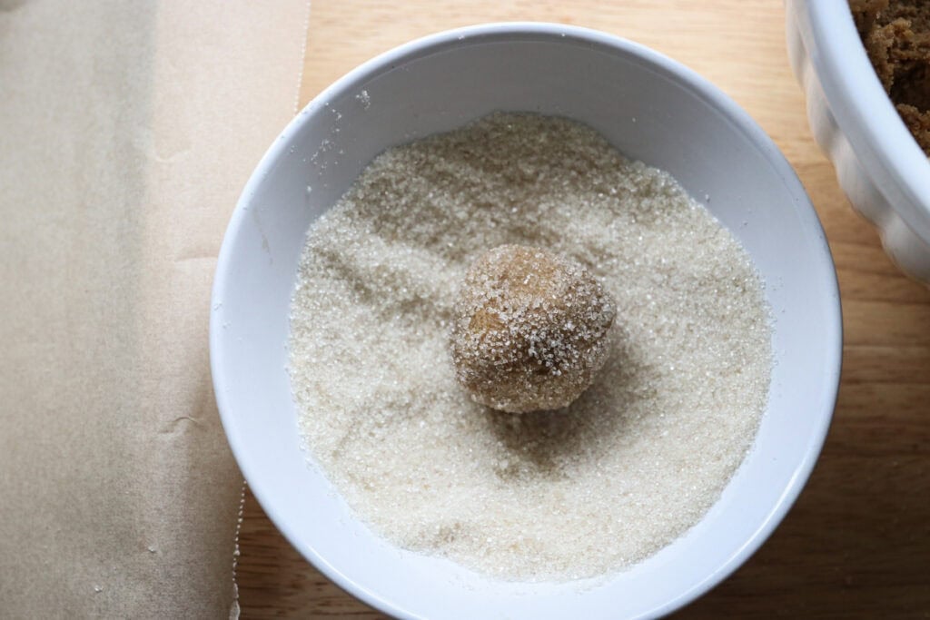 fresh milled gingersnap cookie dough in a bowl of sugar 