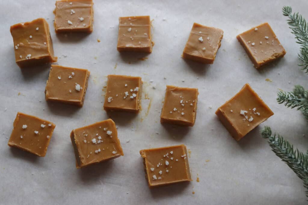 squares of 4-Ingredient Healthy Peanut Butter Fudge on parchment topped with flaky salt and greenery beside it