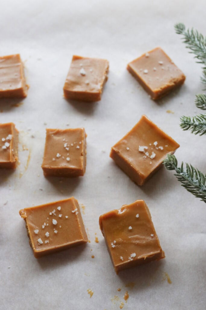 squares of 4-Ingredient Healthy Peanut Butter Fudge on parchment paper with green leaves to the side of it