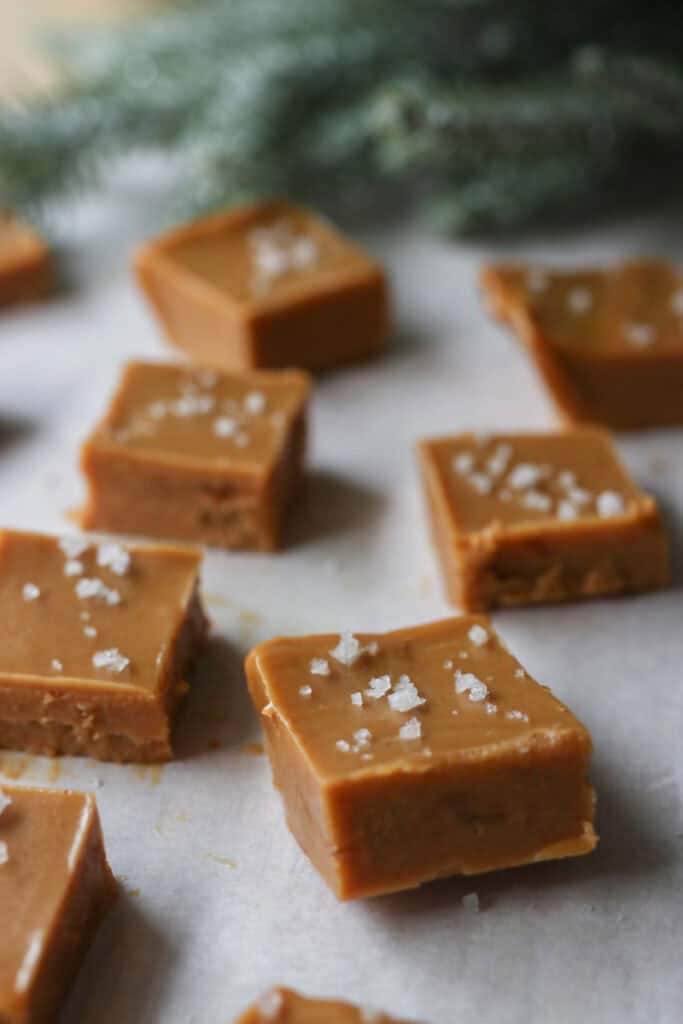 The Best 4-Ingredient Healthy Peanut Butter Fudge on a piece of white parchment paper