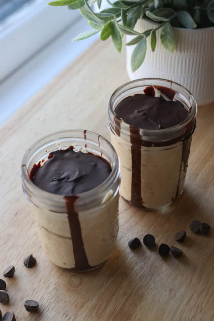 High Protein Chocolate Peanut Butter Yogurt Cups with a plant behind them 