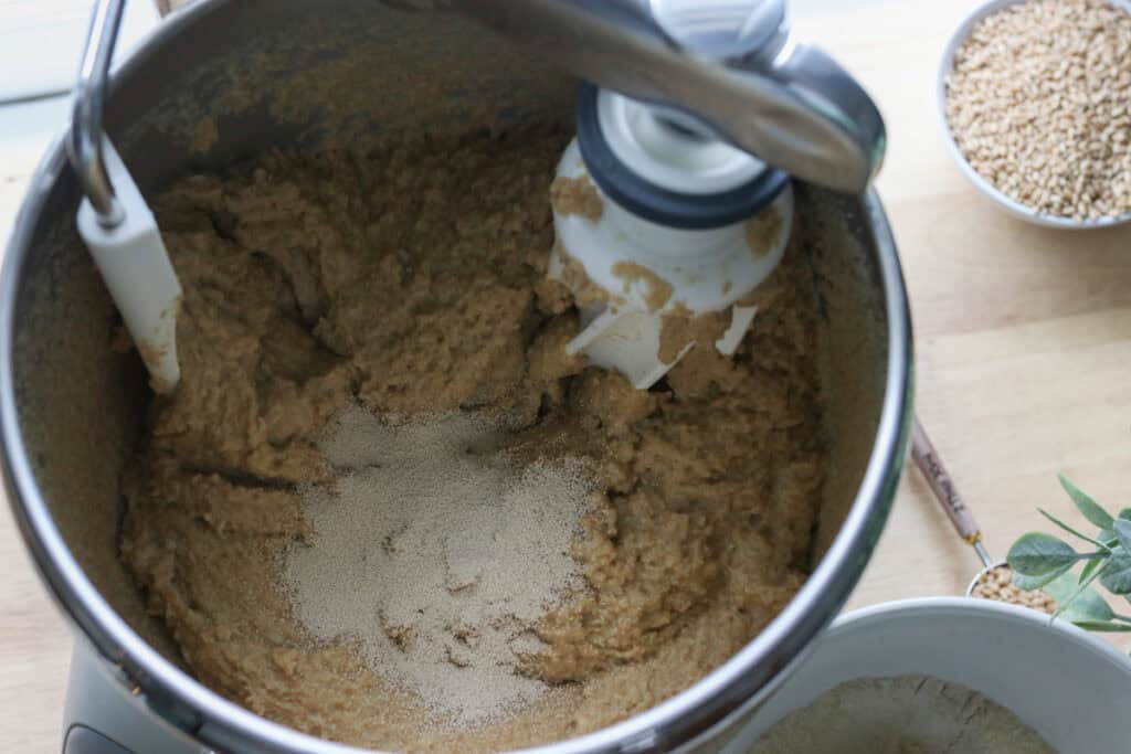 yeast added to the dough to make fresh milled tall sandwich loaves using the tangzhong method
