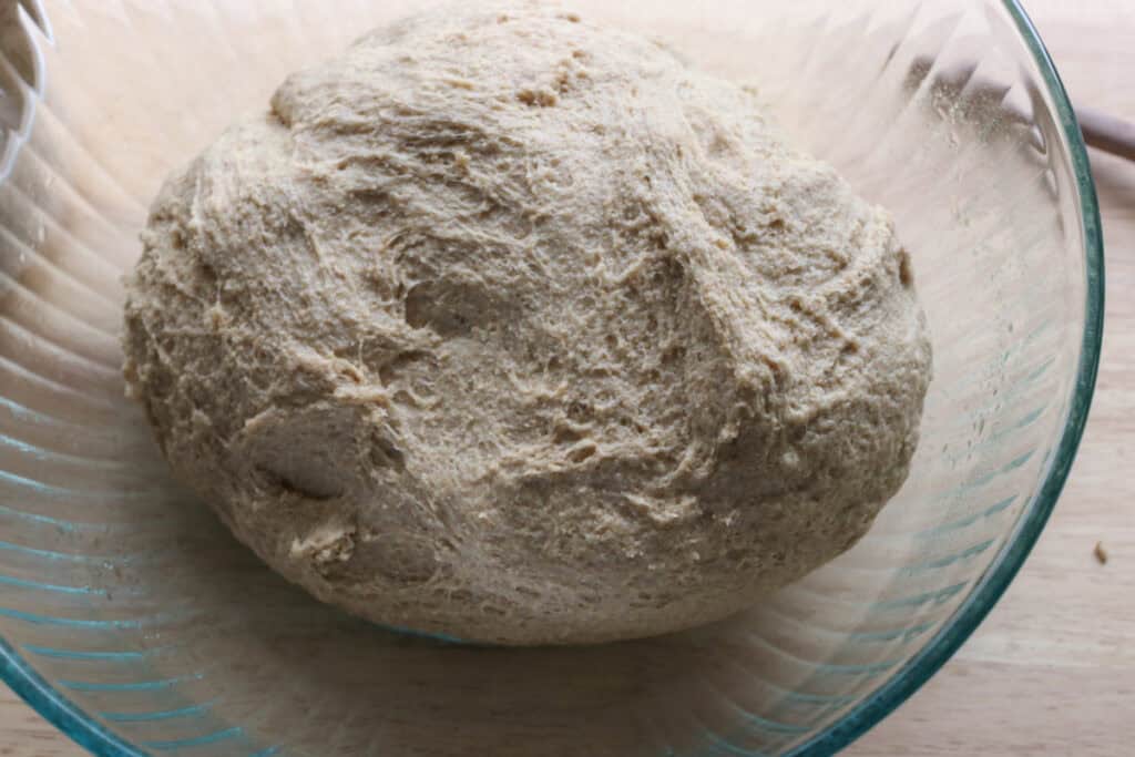 the dough for fresh milled tall sandwich loaves using the tangzhong method in a glass bowl