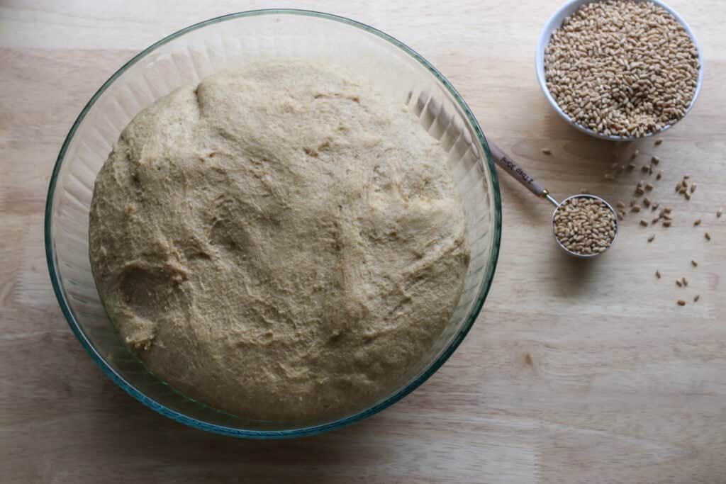 fresh milled dough using the tangzhong method that has risen in a bowl