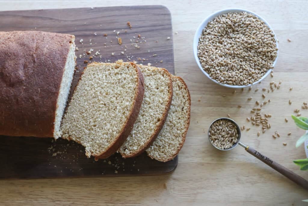 fresh milled tall sandwich loaves using the tangzhong method cut into slices