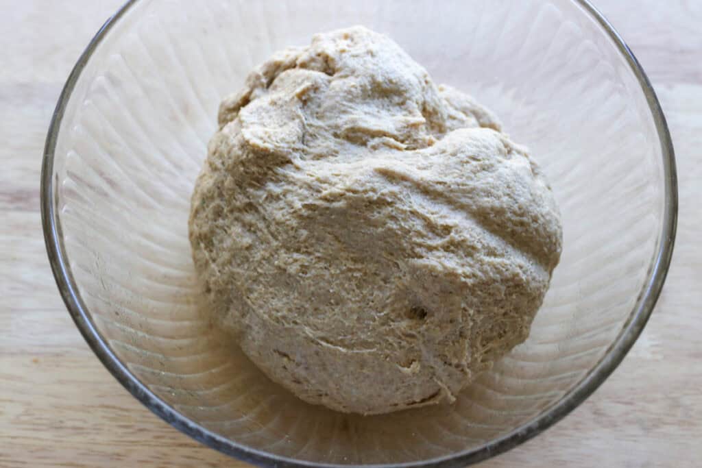 dough rising in a bowl for freshly milled english muffin