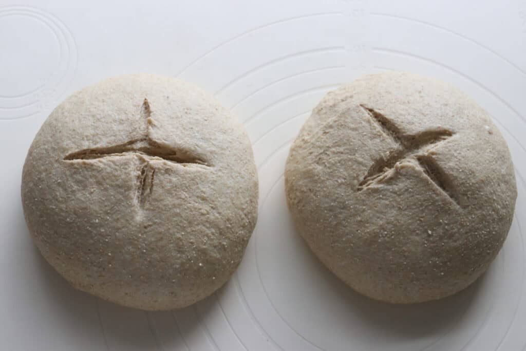 two freshly milled soup bread bowls that have been scored