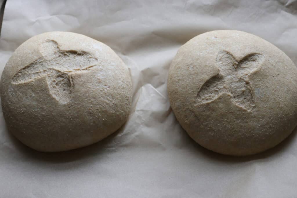 freshly milled soup bread bowls on parchment paper that have risen