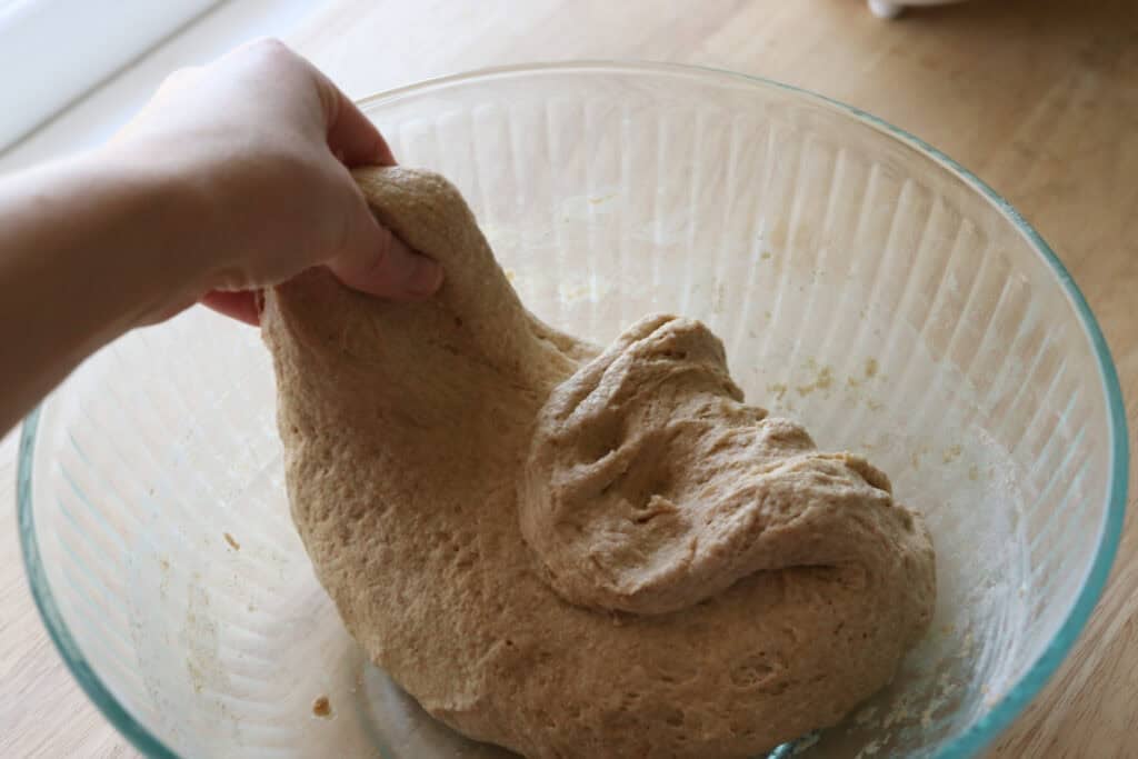doing stretch and folds for the fresh milled artisan loaf