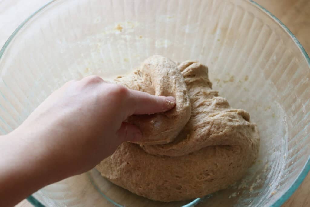 pulling the dough back over itself to do stretch and folds for the fresh milled artisan loaf
