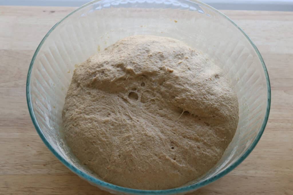 fresh milled dough that has risen until doubled size