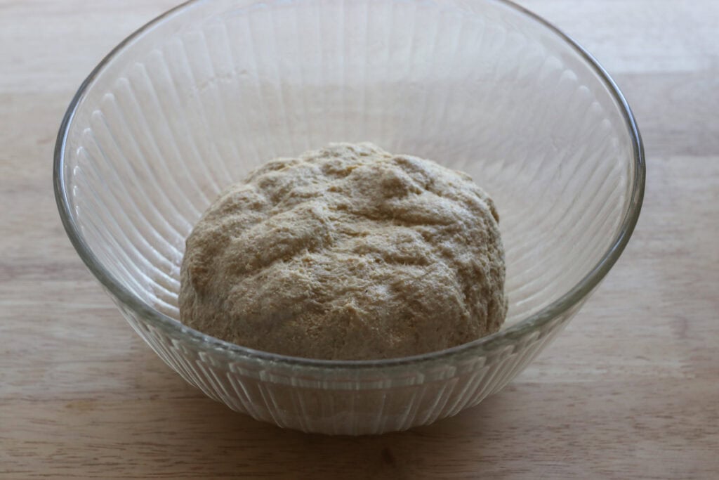 fresh milled sourdough breadstick dough in a glass bowl