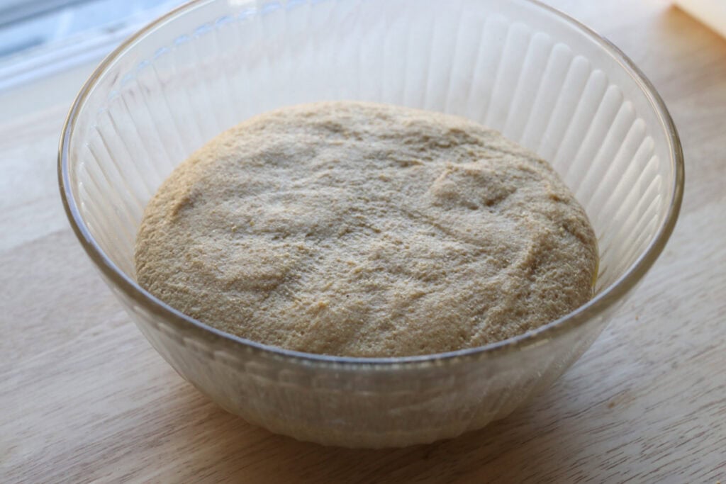 fresh milled sourdough breadstick dough that has risen in a glass bowl