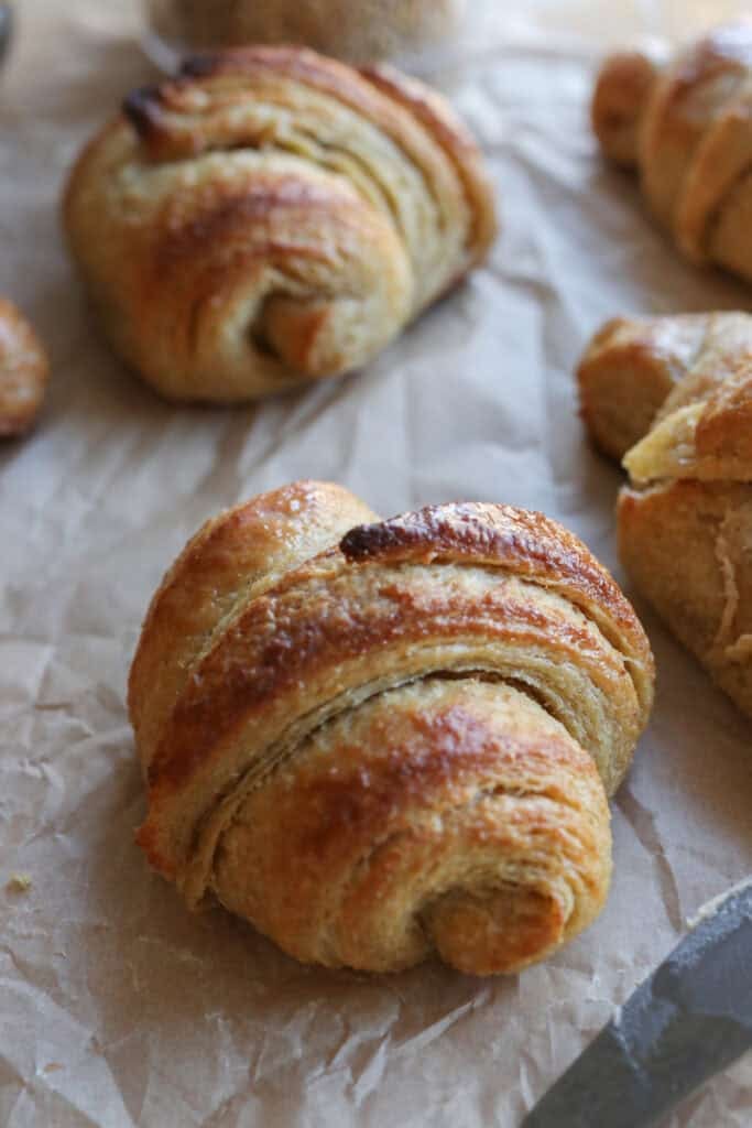 a fresh milled croissant with flaky buttery layers