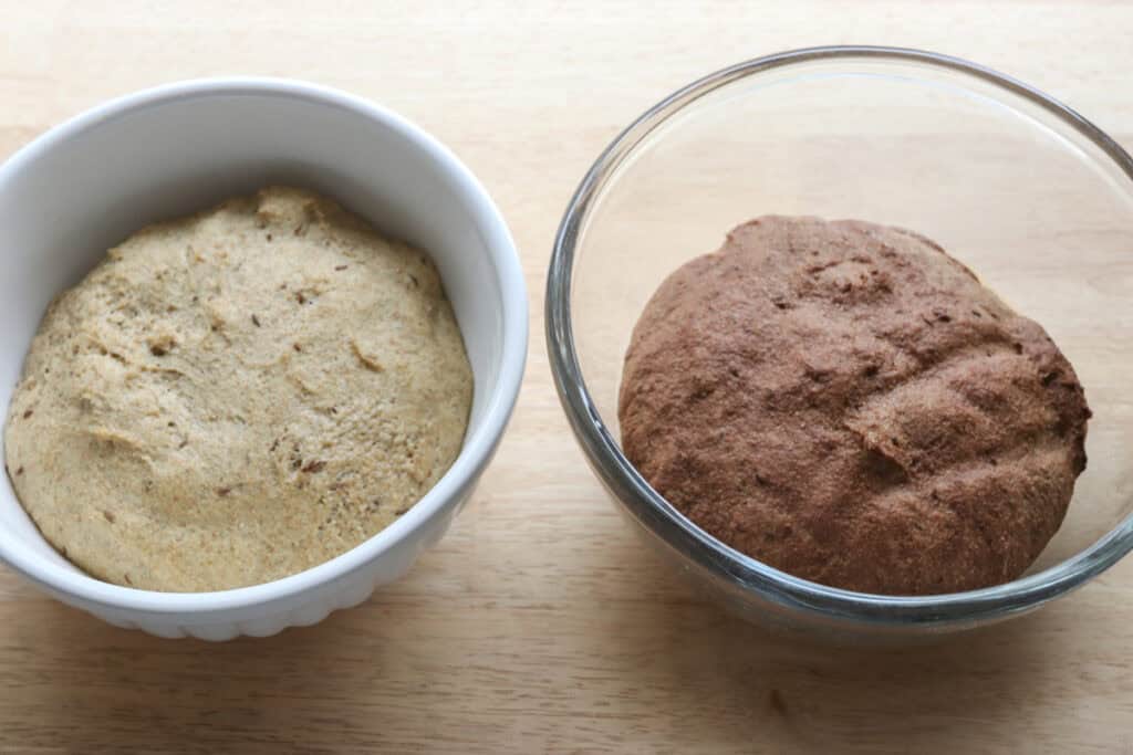 freshly milled marbled rye dough has risen until doubled in size
